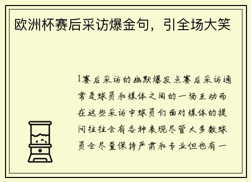 欧洲杯赛后采访爆金句，引全场大笑
